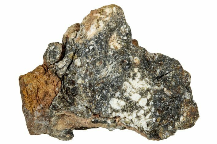 Howardite Meteorite ( g) - Bechar #287007